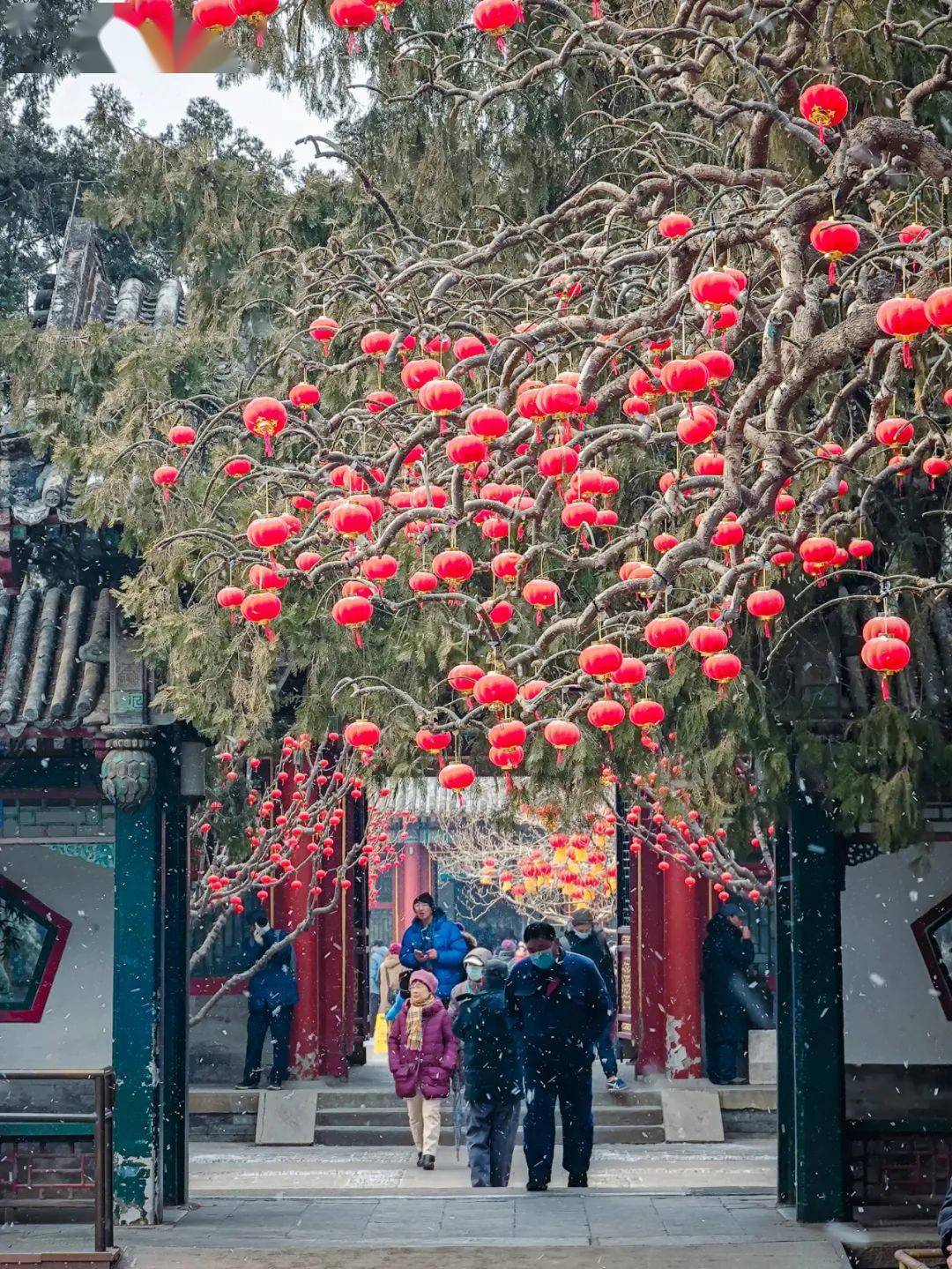 小米开启「酿冬」手机摄影作品征集活动，即日起可投稿参赛