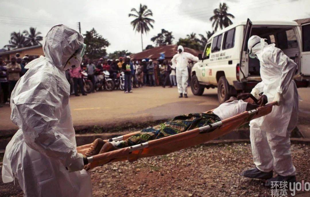美国实验猴子运输途中出逃,一女子接触猴子后生病_美国女子接触逃跑的