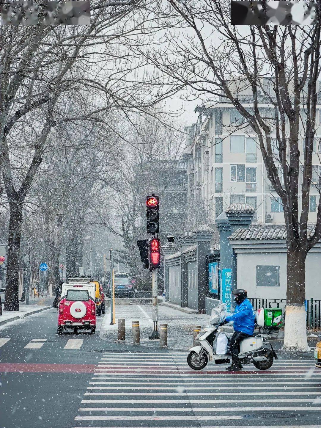 牛铭乾|错过这波，只能明年再见！
