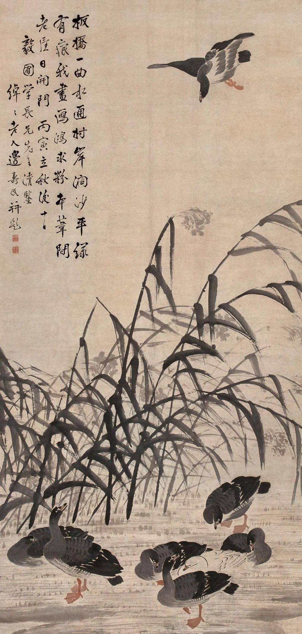 他笔下的芦雁,67寥寥数笔,姿态万千_边寿民_绘画_鸿雁