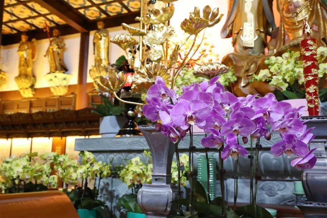 【佛前一盆花,长养菩提心】龙庄讲寺新年佛前供花._供养_精神_香花