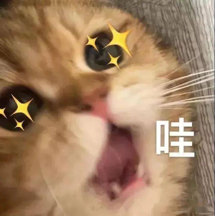 29b5b6c7d35241d7b46d22bc721a5652.jpeg