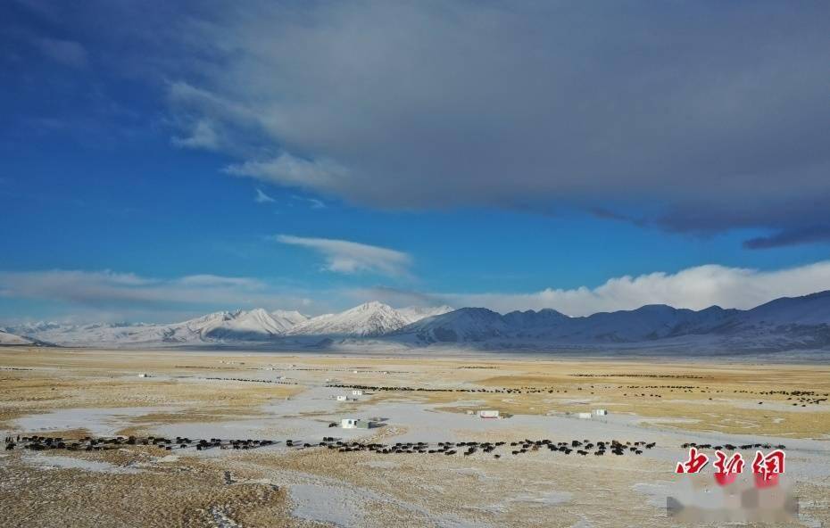藏北|西藏藏北雪山下 牧人的“天堂草原”