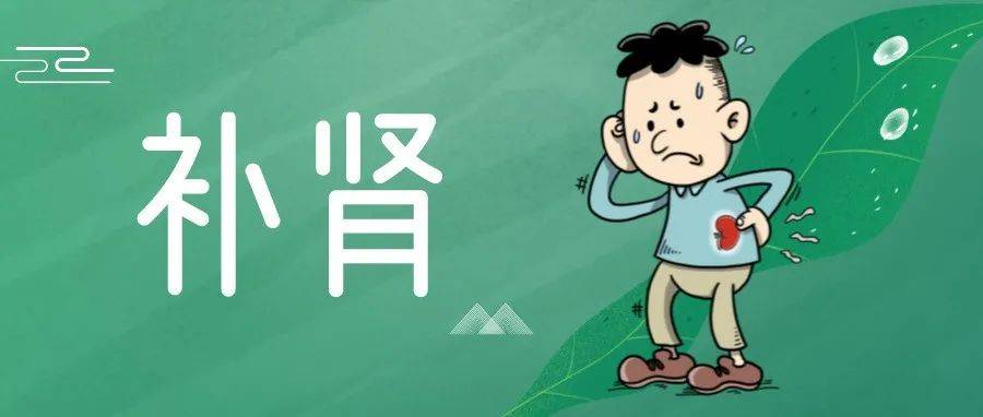 身边事|中医“肾虚”知多少?(二)_人体_患者_的作用