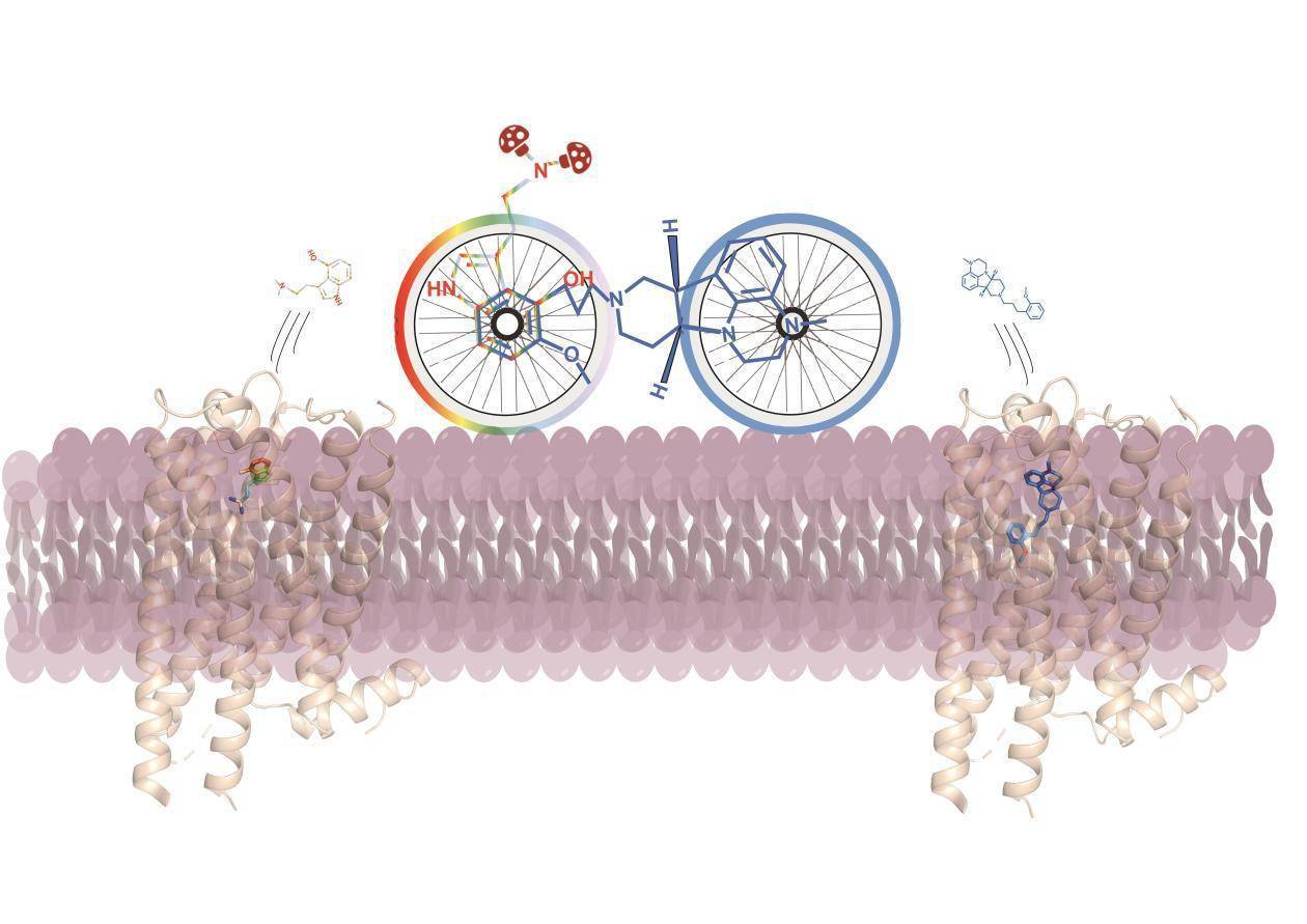 我国科学家研发出新型快速抗抑郁化合物