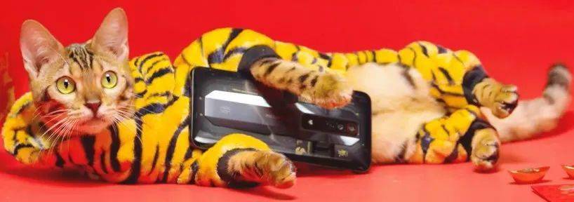 【旗舰】屏下摄像头·前置！红魔7真机视频公开 最猛游戏手机？