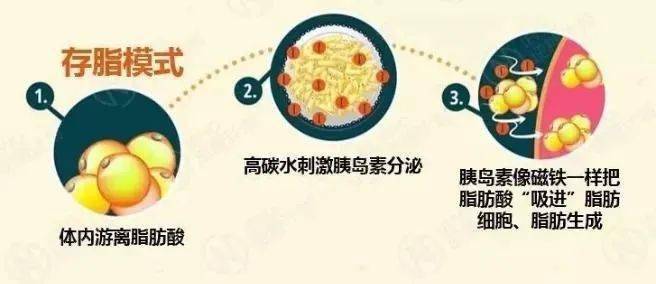 阻断一日三餐正常吃，竟然瘦……网友直呼“太惊讶”！