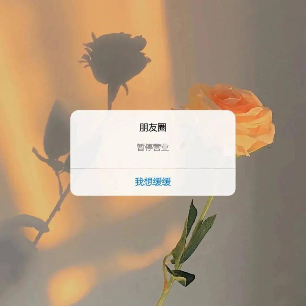 生活背景图 | 生活的温柔藏在每一阵晚风里