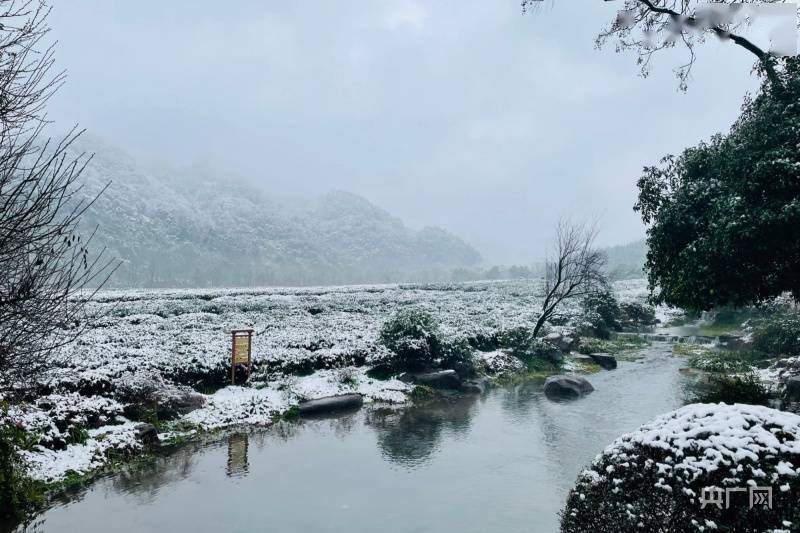 雪景|下雪了！杭州西湖景区美如画