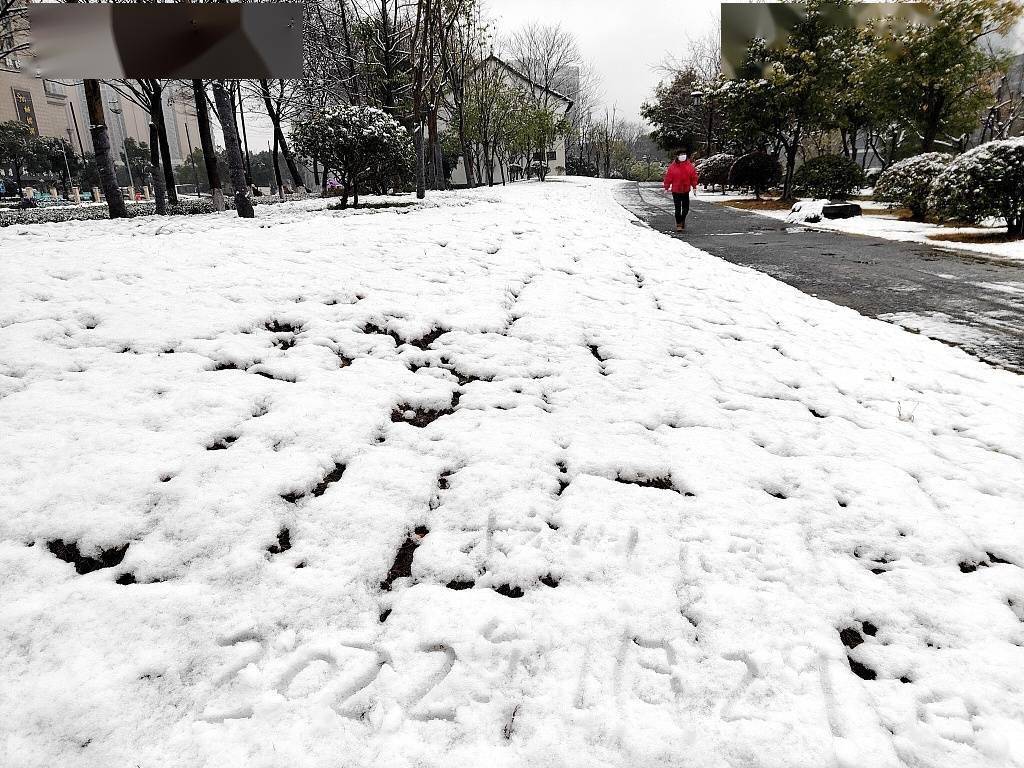 杭州,城市,杭州,城市|杭州迎来降雪 城市风光旖旎