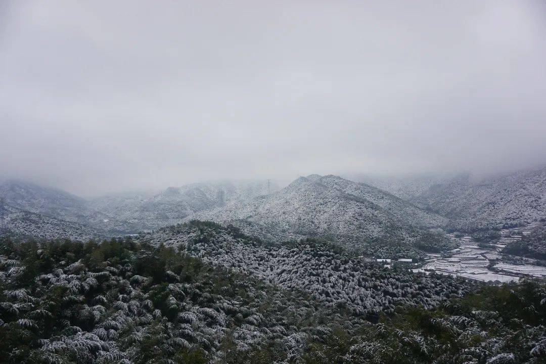 下雪啦!寧波小夥伴們,你的雪花已到貨~_景區_四明山_景觀