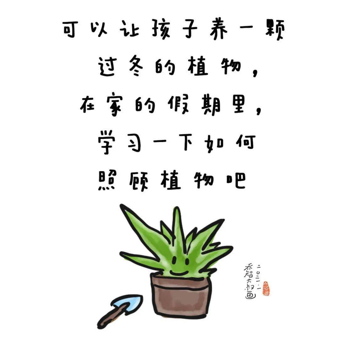 年味春节仪式感，从这份过年清单开始