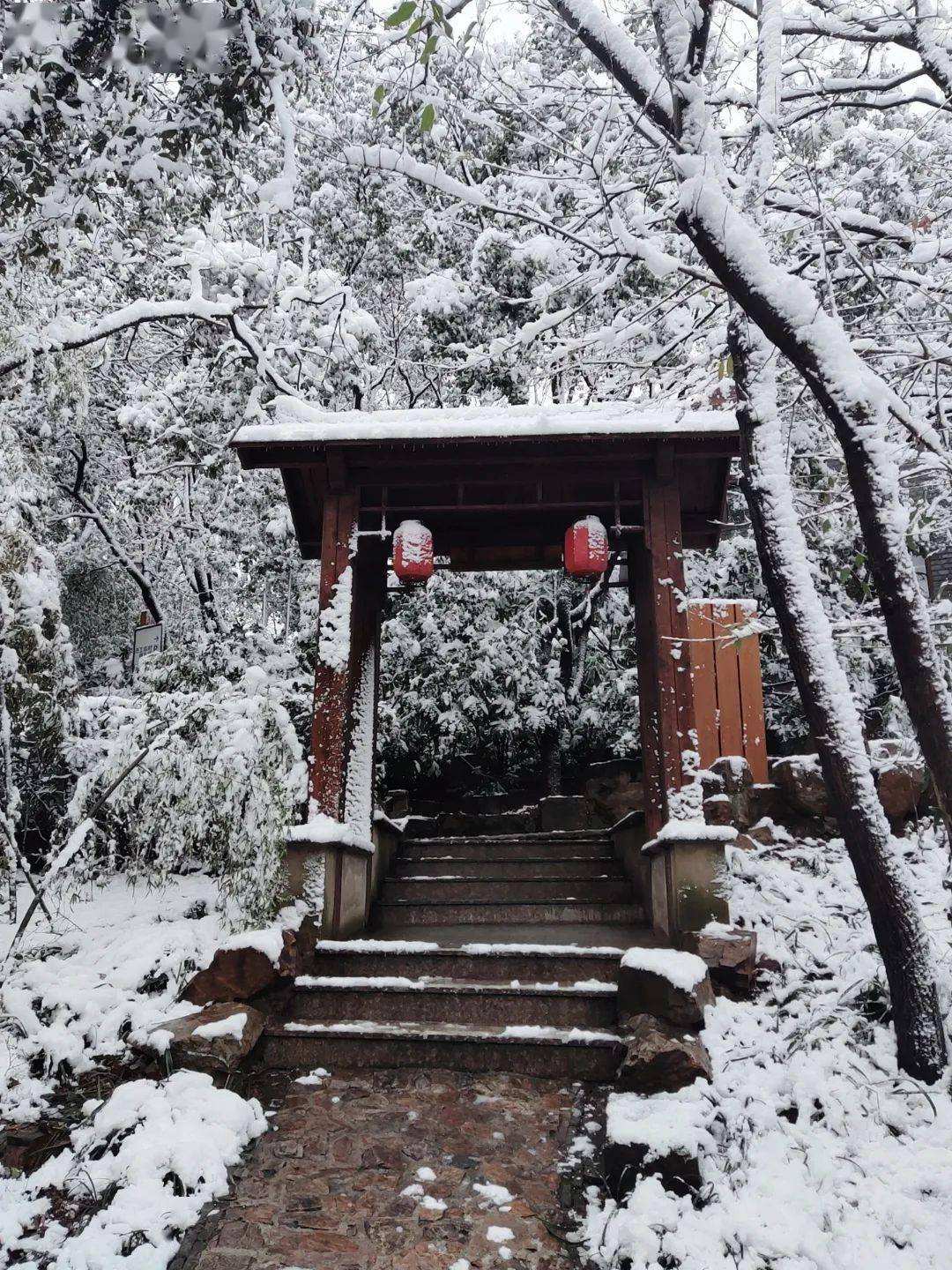 刷屏2022年第一波雪景美图