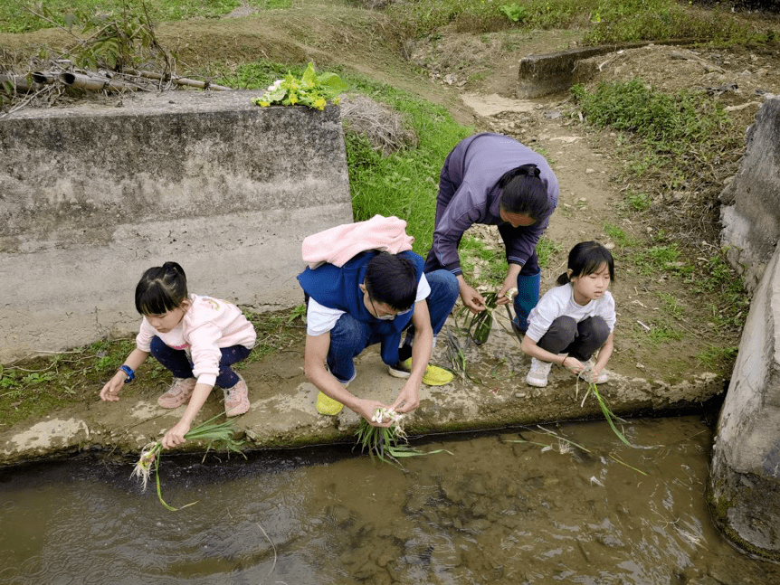 内陆地区|带着孩子去韶关：虎年春节游学札记