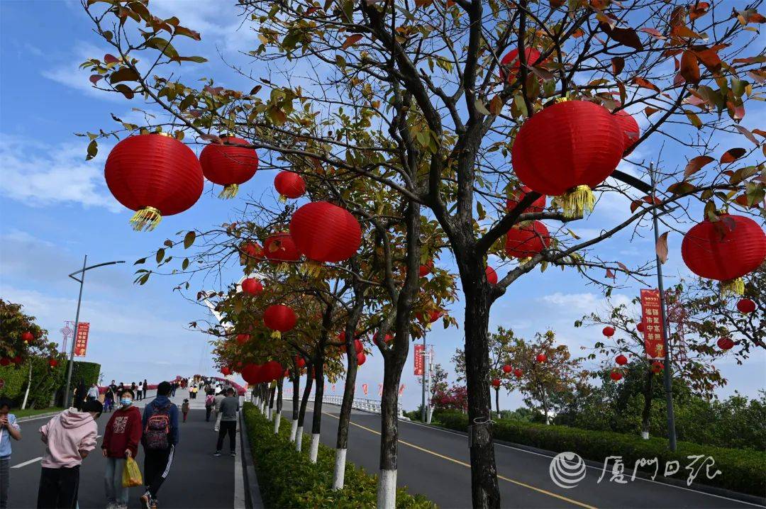 市民|厦门，红红火火迎虎年！