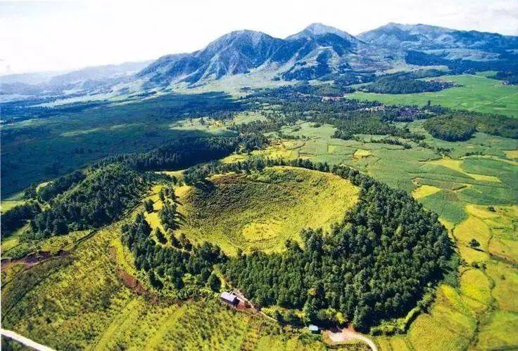 生物|穿越高黎贡山 探访物种王国