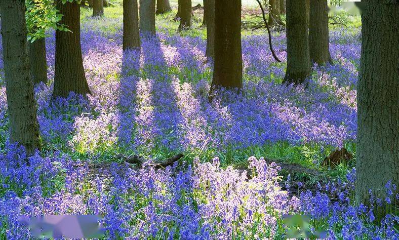 尸体头上抠下来的白泥竟是螨虫尸体!头痒头屑出油多,用它就对了