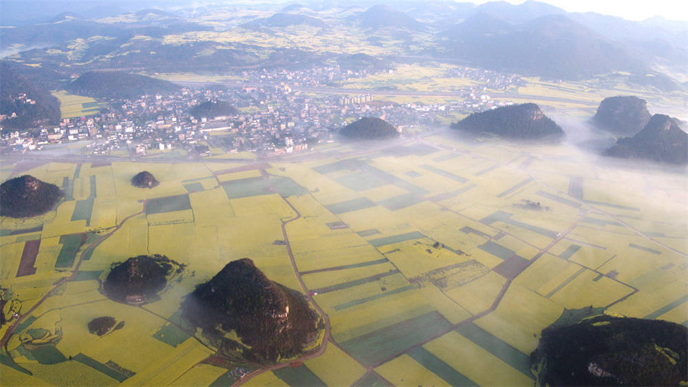 海外视角 aca8210f3db54db3af70bf43974c7f1f.jpeg