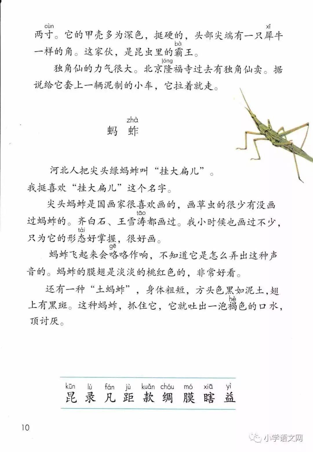 三年级下册语文课文4昆虫备忘录图文解读