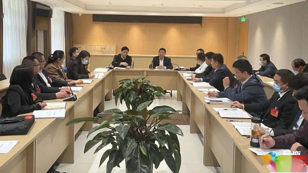 县十七届人大二次会议巨鹿镇代表团,与委员,代表们一同审议讨论政府