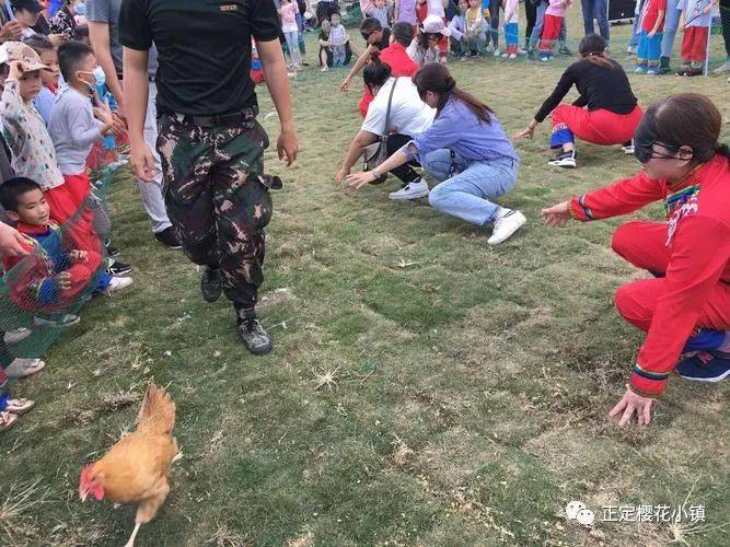 乐园|门票免费领！樱花小镇虎年欢乐会等你来！一站式趣享萌宠乐园、高空秋千、网红桥等20+娱乐设施！