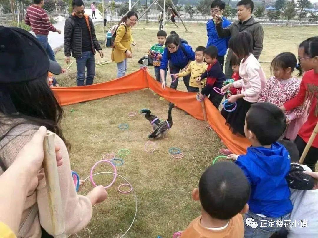 乐园|门票免费领！樱花小镇虎年欢乐会等你来！一站式趣享萌宠乐园、高空秋千、网红桥等20+娱乐设施！