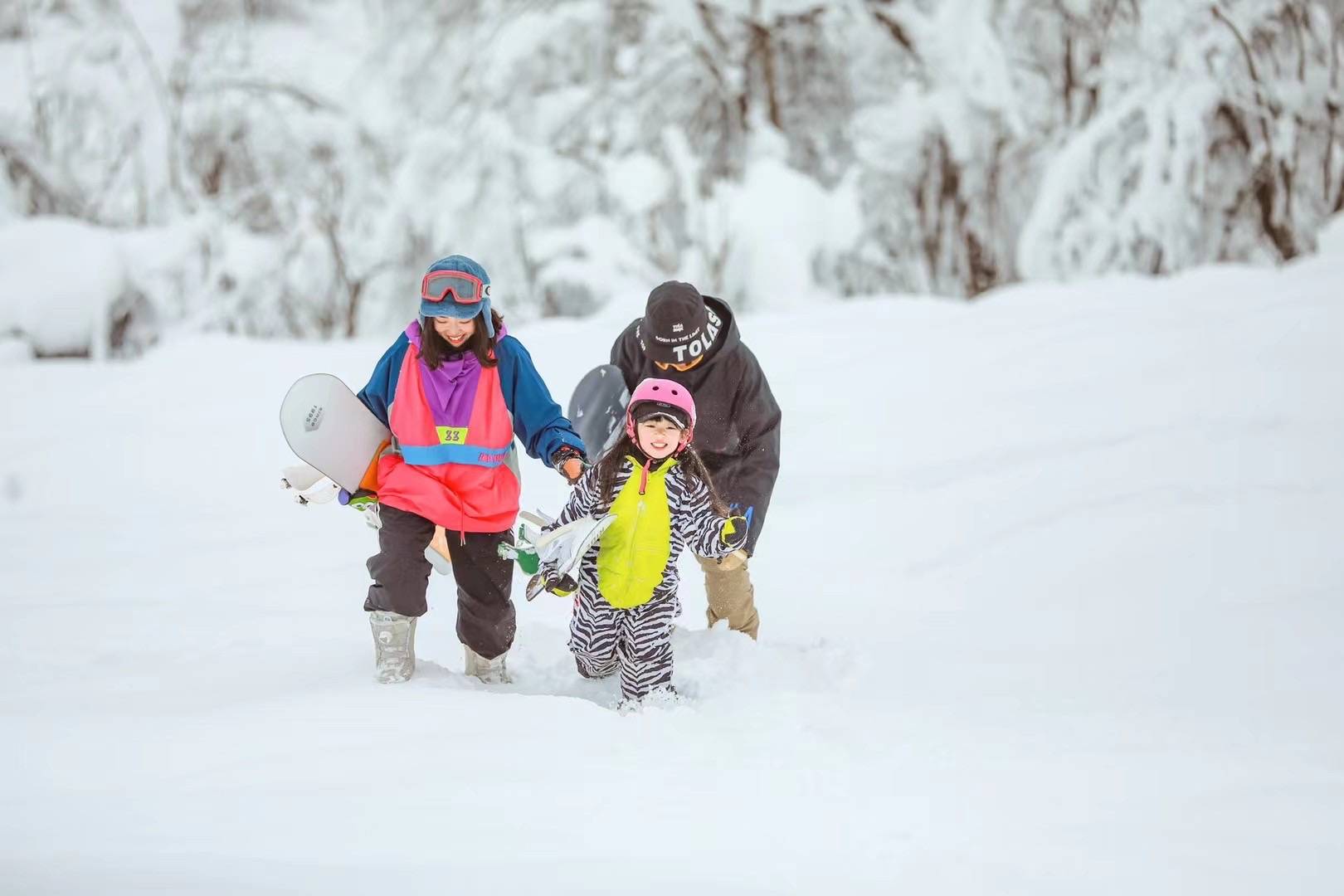 景区|正月初一到初七，西岭雪山交通索道提前至6：30