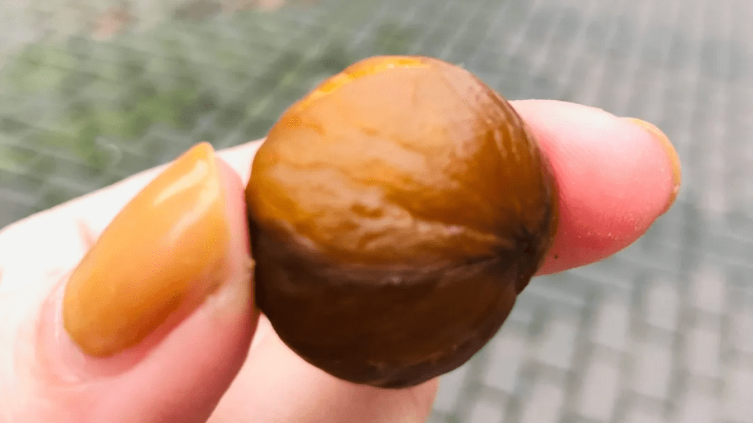 亲戚|抓紧屯点小零食,过年话题你来定!