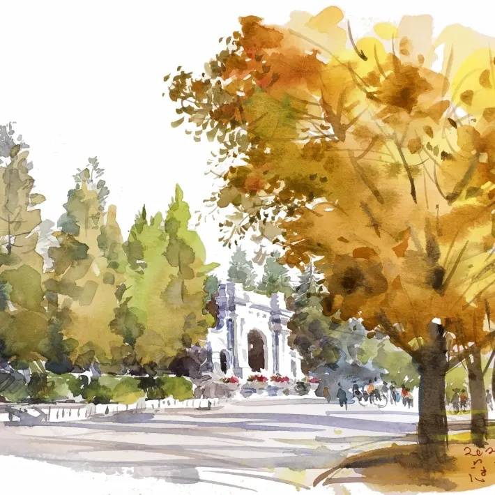 网友金银纪念币上的“抱福虎”出圈，背后细节揭秘了