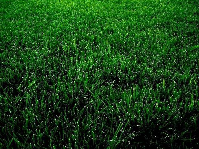 眼科医生说微信有个功能可保护眼睛你还不知道