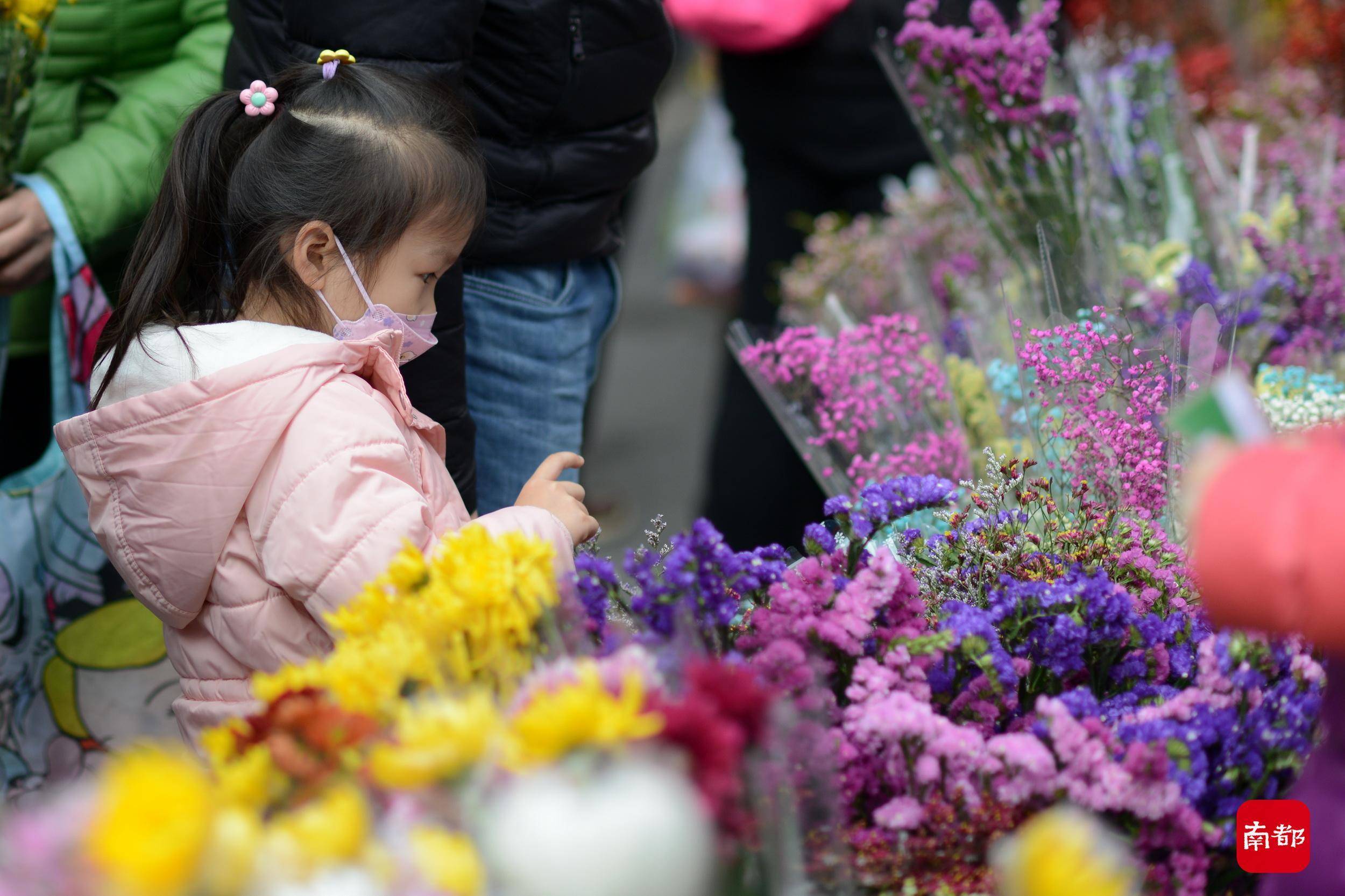 广州|图集：花城何处不飞花，在花海中欢度虎年春节