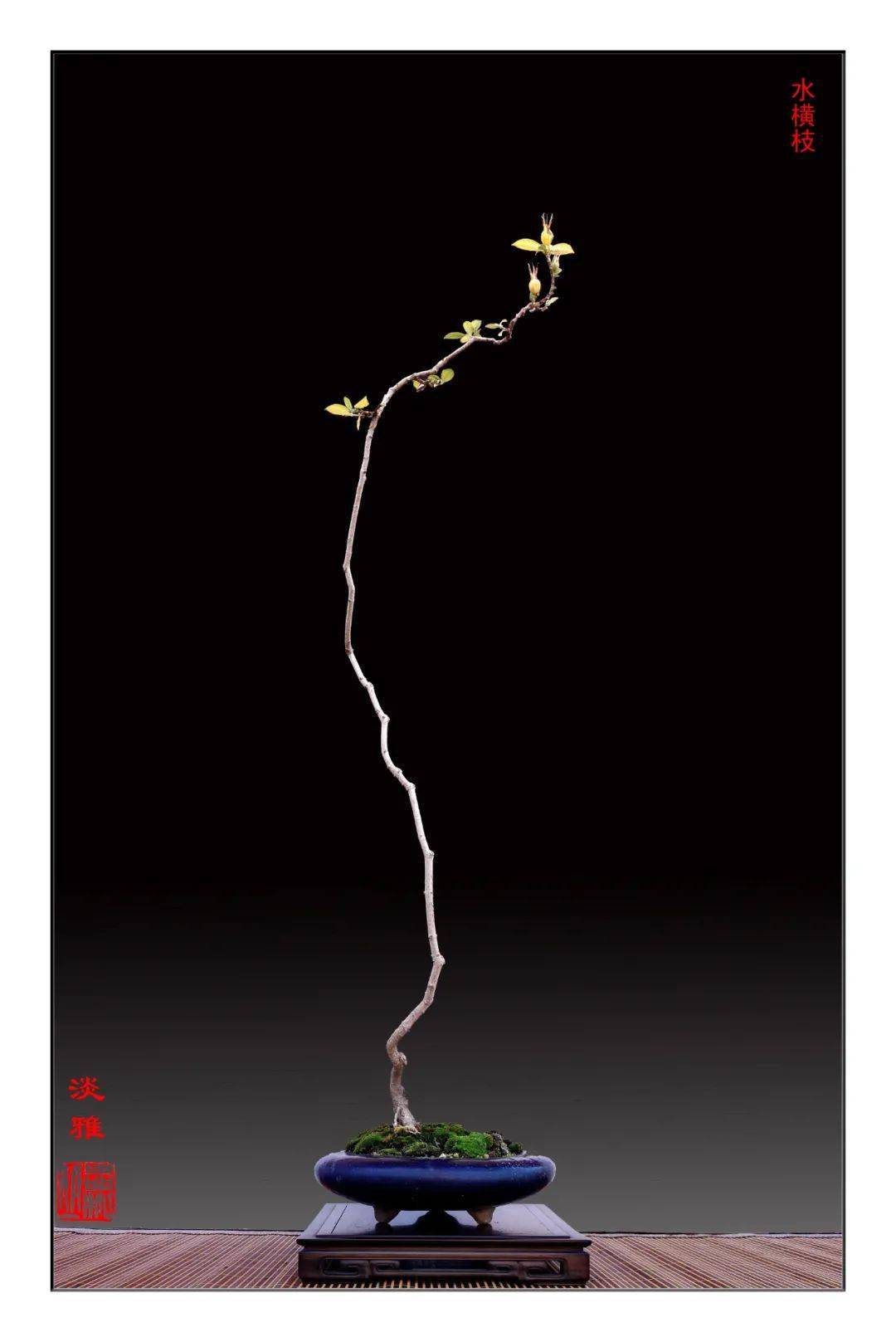 新春贺岁大片韩学年大师最新力作