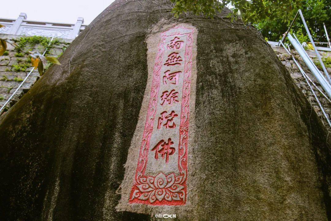 厦门|再冷下雨天，也挡不住厦门人拜拜！南普陀求平安、仙岳山求姻缘...春节祈福，厦门寺院哪家灵？