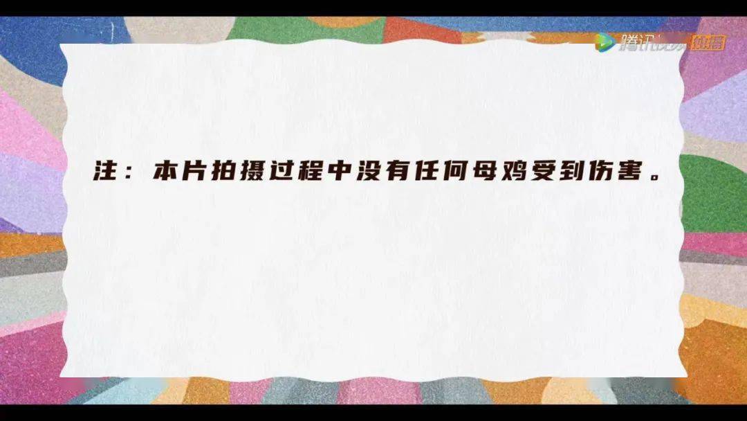 套路|从头到尾笑哭，今年头号宝藏戏精诞生了！