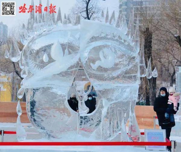 市民|赏雪景，迎虎年，冰城市民玩冰乐雪度春节