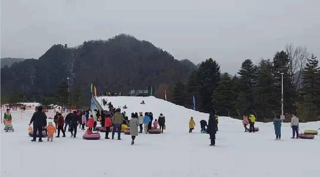 滑雪|游园、赏灯、逛市集……汉中好热闹！