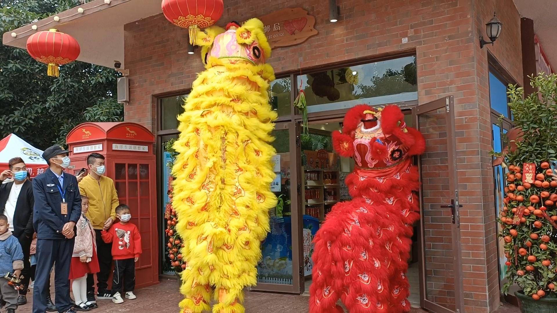 网络中国节丨看醒狮"采青",听锣鼓喧天, 牛仔小镇火火火_狮子_舞狮队