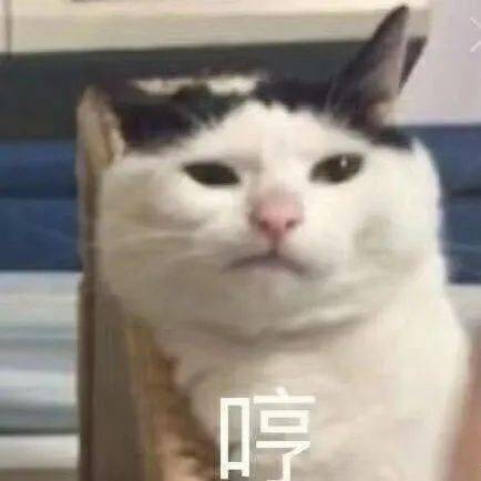 84bc402373134dd382407a7c93b6f683.jpeg