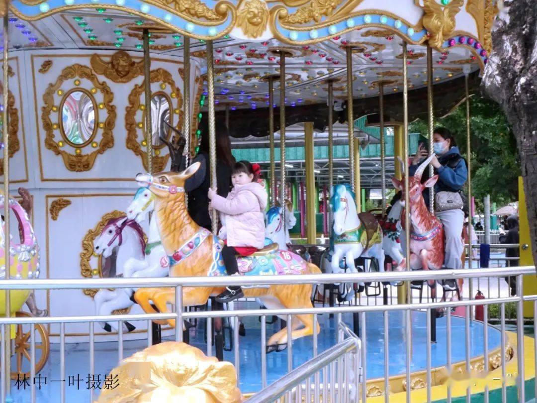 凤凰洲公园的桃花开了没