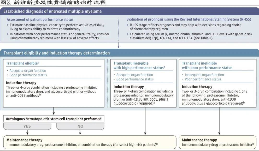 治疗|JAMA：多发性骨髓瘤的诊断和治疗