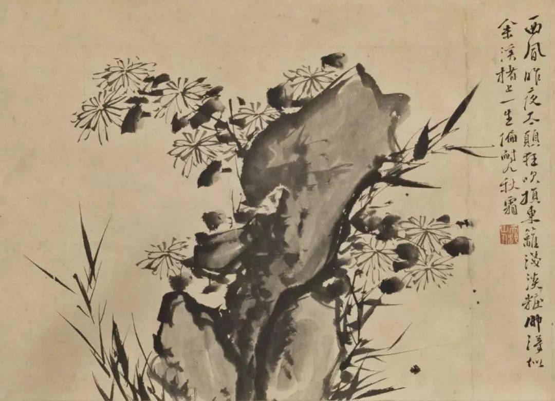 徐渭_图卷_墨花