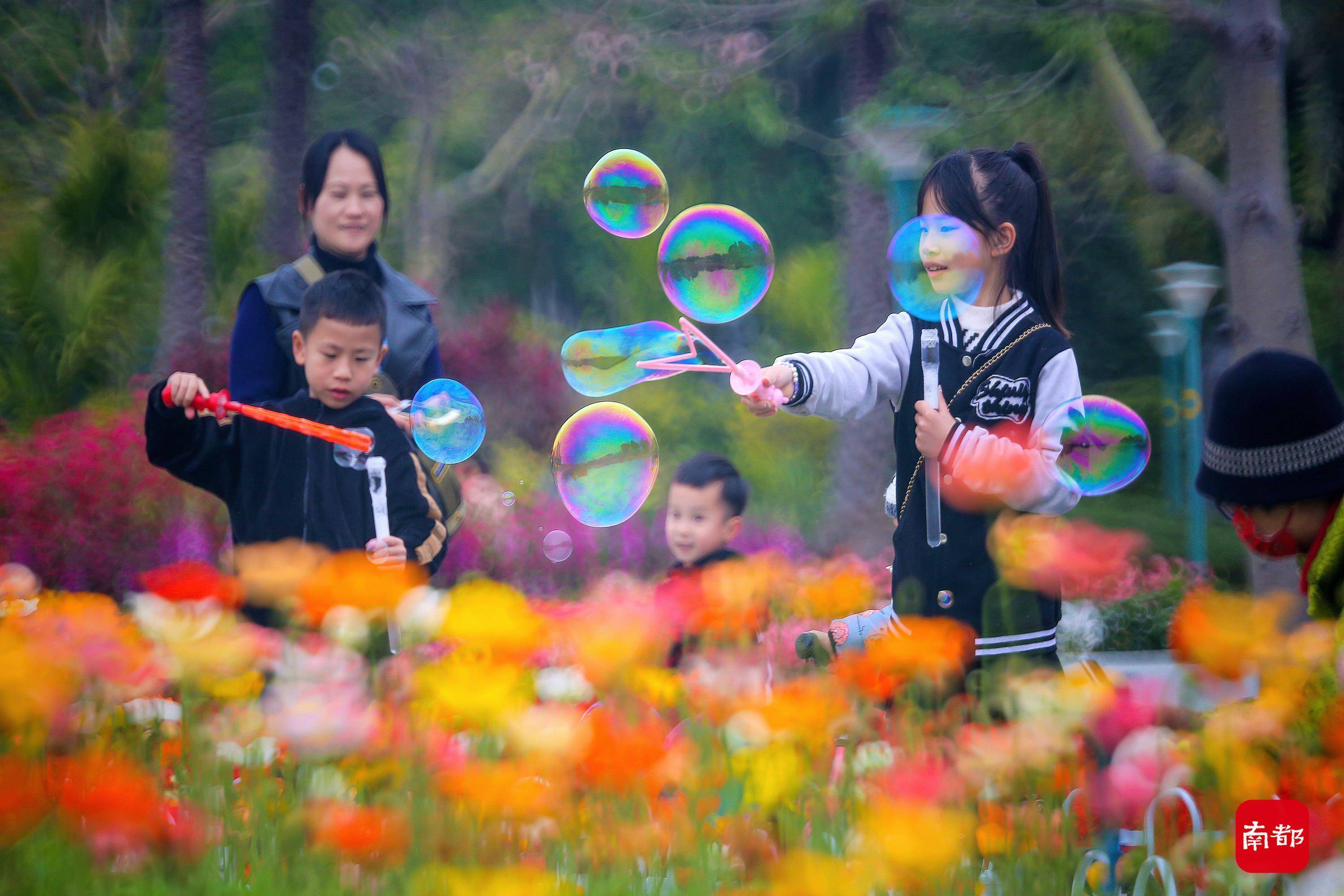 广州|图集：春节已到尾期，广州这片壮美的“桃花源”你去了吗？