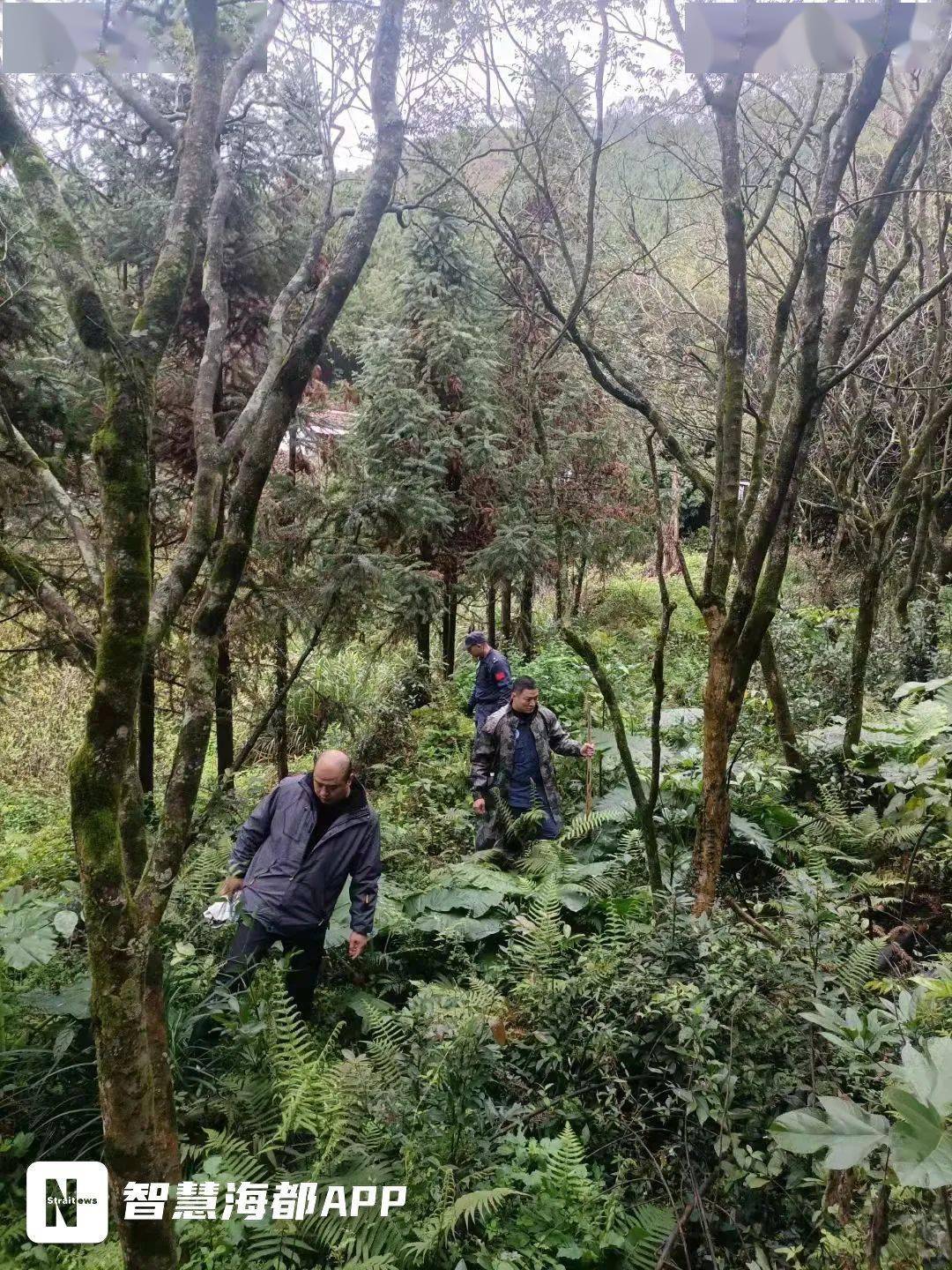 福建山上发现一具尸体死者已经确认