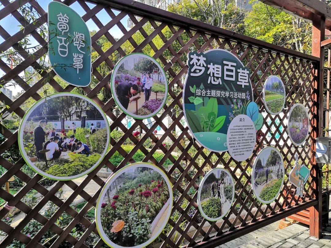 嘉定的这所学校有个"百草园"_中草药_中医药_文化