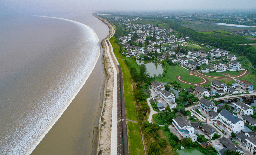 8.许村镇道路交通保畅项目