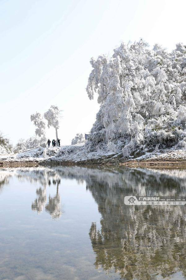 新闻网|广西这个地方现绝美雪景 宛如童话世界