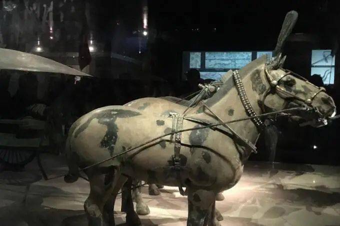 说文解字522课古时候怎么称呼的马缰绳