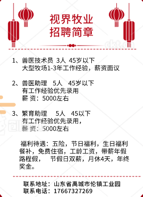 3d805a22df1b4966841c6e1ae1cc2cb3.png