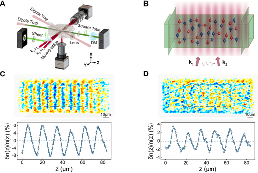 观测|量子模拟大突破，我国科学家首次观测到费米超流中的熵波临界发散