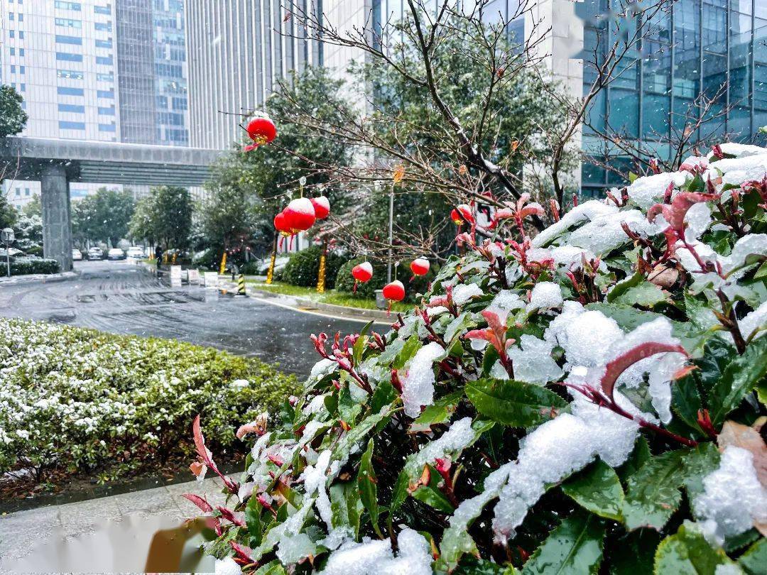 瑞雪兆豐年,美在ipark!_雨夾雪_園區_行車